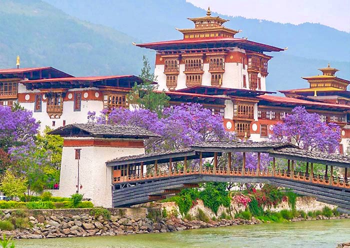 Day 4 – Punakha & Toebisa farmhouse
