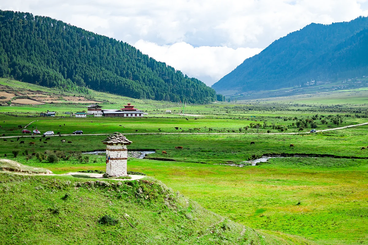 Bird Watching in Bhutan