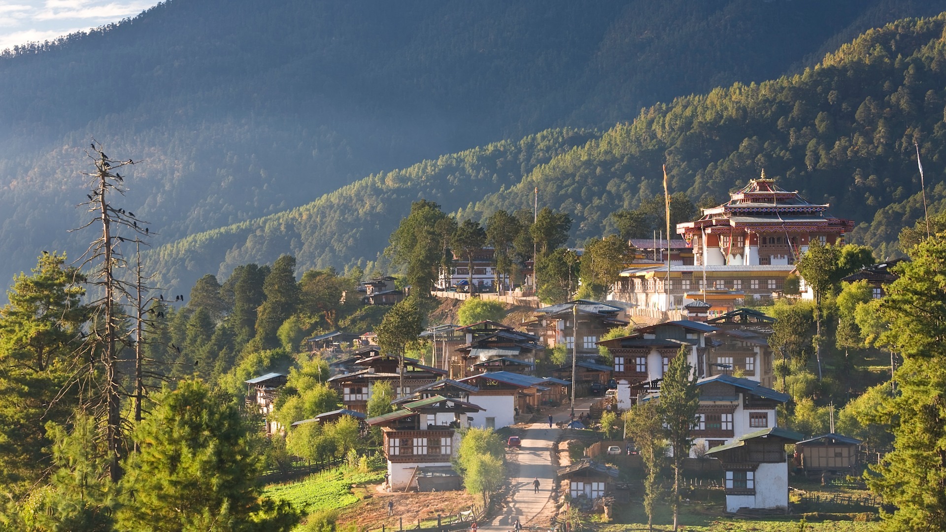 Day 3 – Phobjikha Valley
